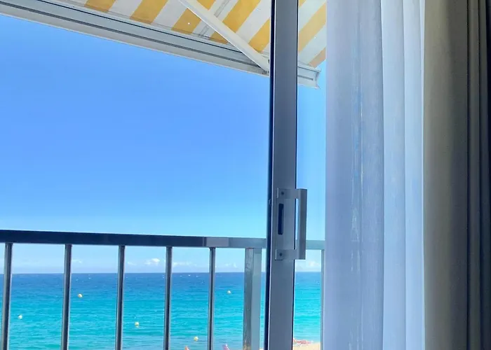 Little * 플라티야 다로